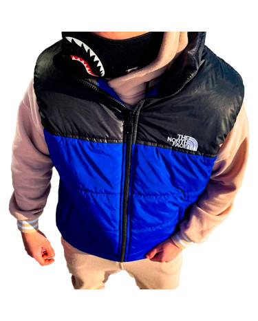 унісекс The North Face 1996 Retro Nuptse Vest