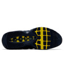 Nike Air Max 95 x SB Eric Koston Obsidian Speed Yellow HQ8492-400
