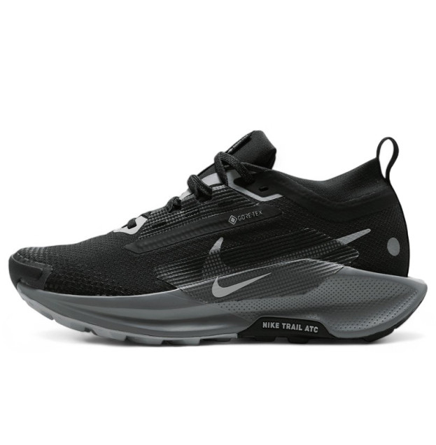 Nike Pegasus Trail 5 Gore-Tex Black Wolf Grey FQ0912-001