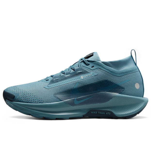 Nike Pegasus Trail 5 Gore-Tex Smokey Blue FQ0908-005
