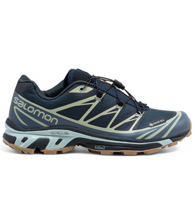 Salomon XT-6 Advanced Gore-Tex Carbon Desert Sage L47291800