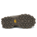 Caterpillar Intruder Laurel Oak Abbey Stone P111570