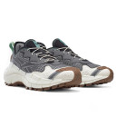 Reebok Zig Kinetica II Edge Gore-Tex Pure Grey GX2567
