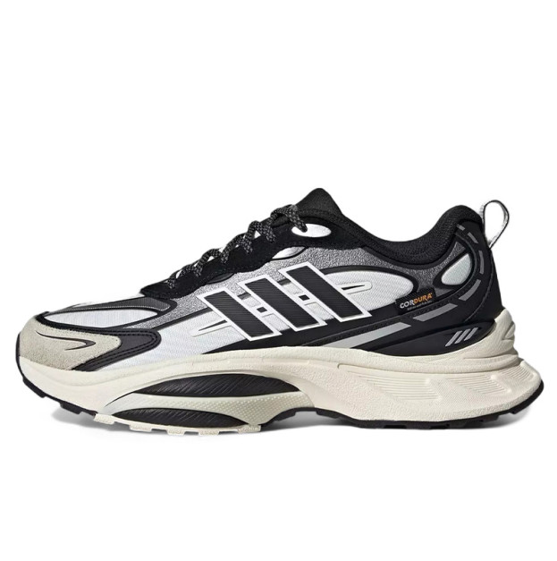 Adidas MTS Pro Gore-Tex Silver Black Beige IH6342