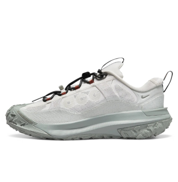 Nike ACG Mountain Fly 2 Low Gore-Tex Phantom Light Silver HF6245-003