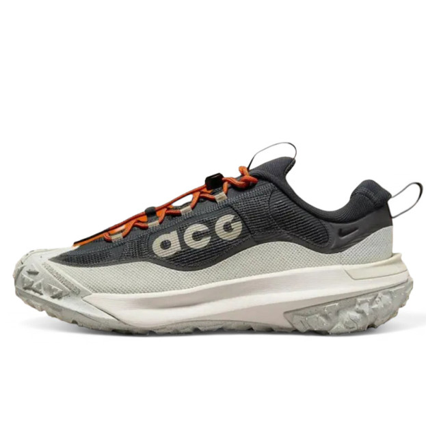 Nike ACG Mountain Fly 2 Low Gore-Tex Dark Smoke Grey HF6245-002