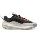 Nike ACG Mountain Fly 2 Low Gore-Tex Dark Smoke Grey HF6245-002
