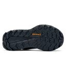 Adidas Terrex Free Hiker 2.0 Low Gore-Tex Black Grey