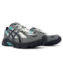 Asics Gel Venture 6 Gore-Tex Grey 1203A245-020