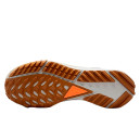 React Pegasus Trail 4 Gore-Tex Anthracite Ale Brown FD5841-001