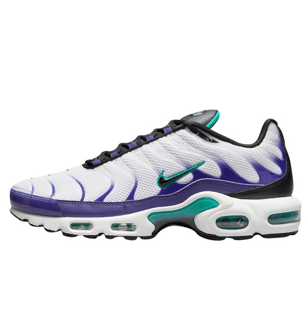 Nike Air Max Plus Grape DM0032-100