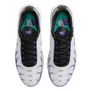 Nike Air Max Plus Grape DM0032-100