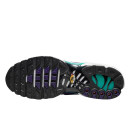 Nike Air Max Plus Grape DM0032-100