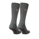 Носки Puma CLASSIC 2P 90712804