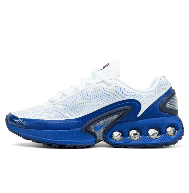 Nike Air Max DN Platinum Royal DV3337-102