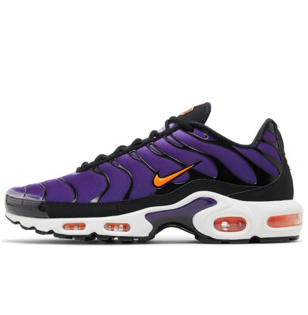 Nike Air Max Plus Voltage Purple DX0755-500