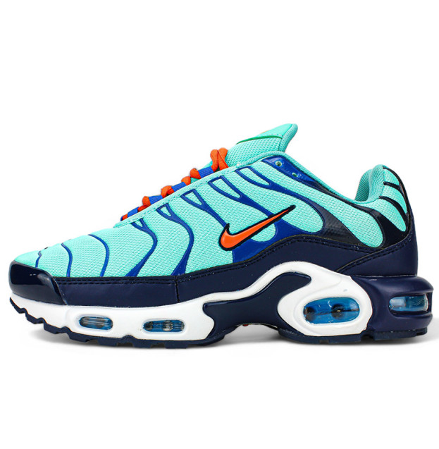 Nike Air Max Plus Discover Your Air AV7940-300