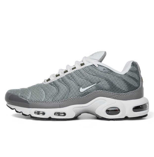 Nike Air Max Plus Flat Pewter White DV7665-002