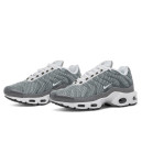 Nike Air Max Plus Flat Pewter White DV7665-002