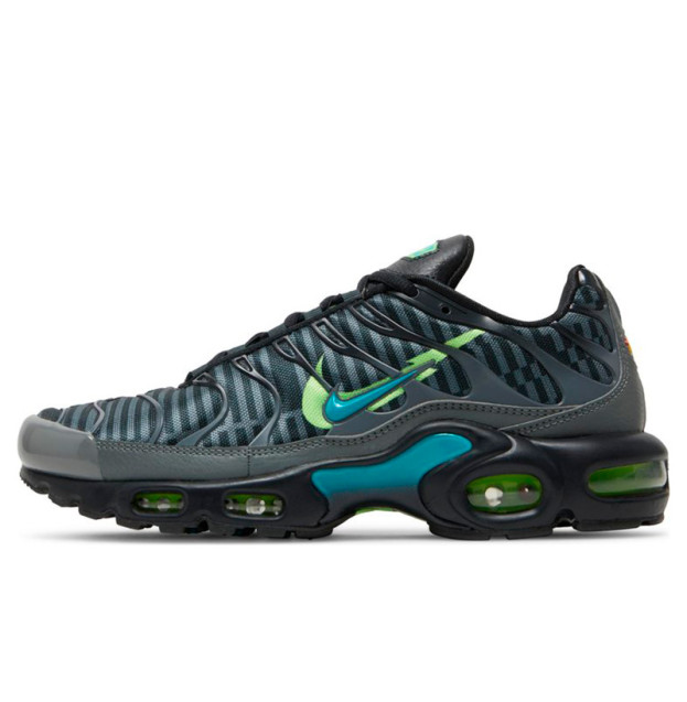 Nike Air Max Plus Champions League DJ6896-070