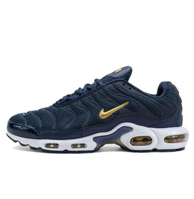 Nike Air Max Plus French Football Federation FB3350-400