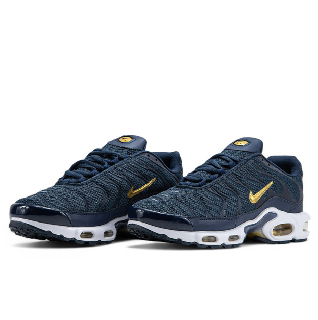 Nike Air Max Plus French Football Federation FB3350-400