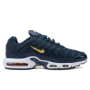 Nike Air Max Plus French Football Federation FB3350-400