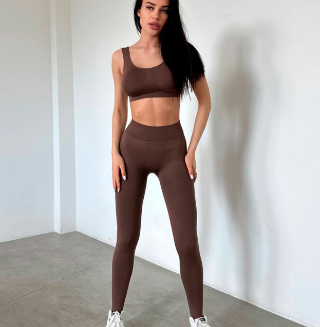 Легінси Коричневі зі Штрипками