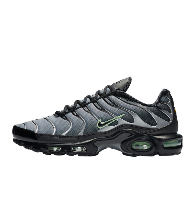 Nike Air Max Plus Black Particle Grey Vapour Green CZ7552-001
