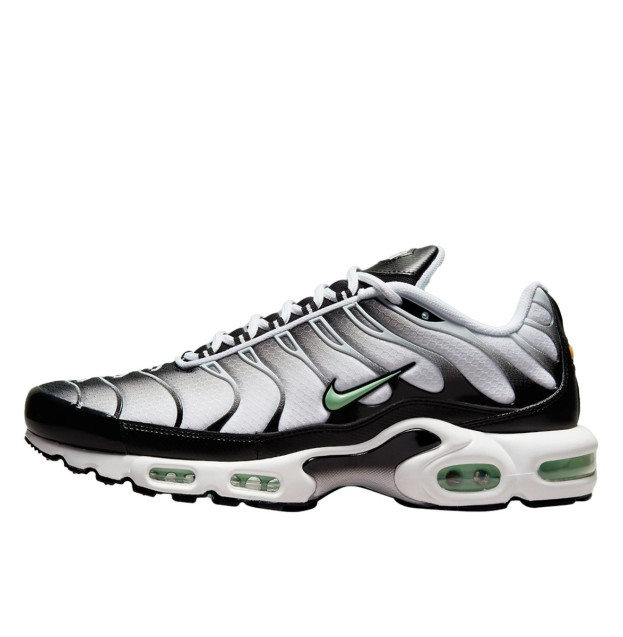 Nike Air Max Plus White Black Mint Green DH4776-100