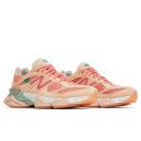 New Balance 9060 Joe Freshgoods Inside Voices Penny Cookie Pink U9060JF1