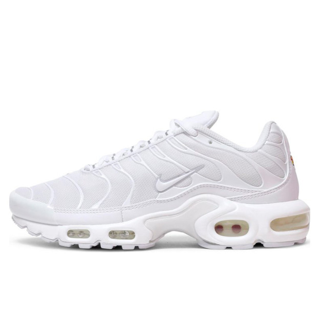Nike Air Max Plus White DM2362-100