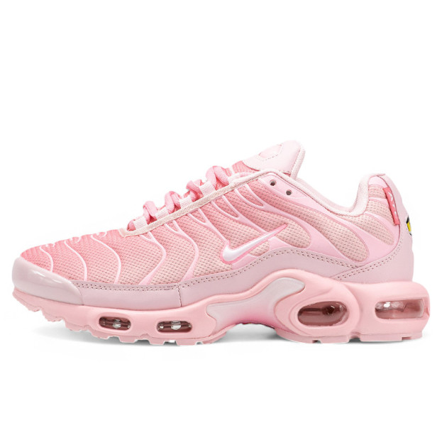 Nike Air Max Plus City Special Atlanta DH0155-600