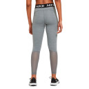 Легінси Nike 365 TIGHT CZ9779-084