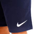 Шорти Nike NK DF SHRT FL DA5556-451