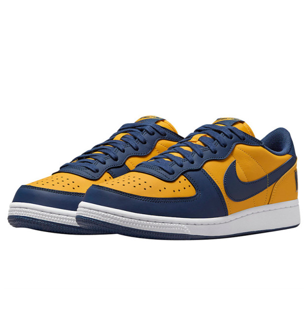 Nike Terminator Low Michigan FJ4206-700