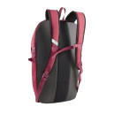 Рюкзак Puma Plus PRO Backpack 7952107