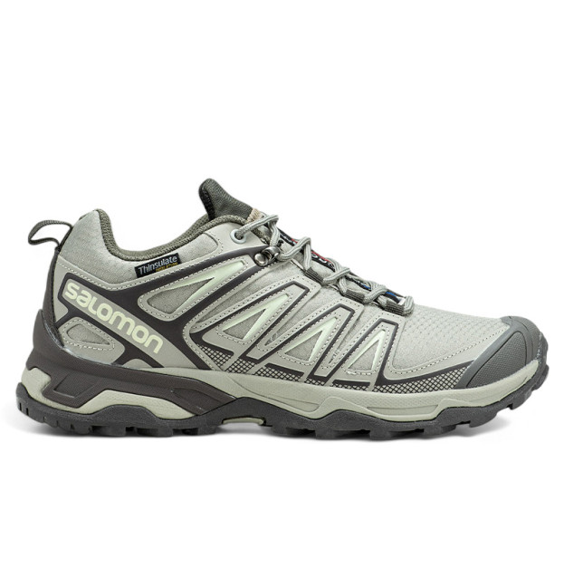 Salomon Speed Cross Pro Gore-Tex Thinsulate Grey