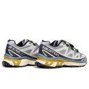 Salomon XT-6 Advanced Dover Silver Beige