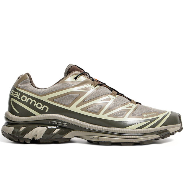Salomon XT-6 Gore-Tex Vintage Khaki L41741200