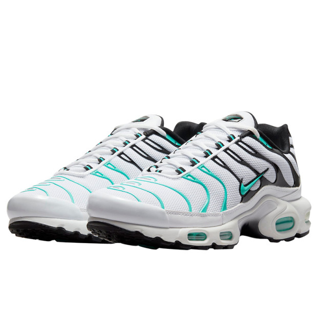 Nike Air Max Plus TN White Mint Black 604133-148