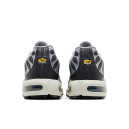 Nike Air Max Plus Iron Grey DZ2655-001