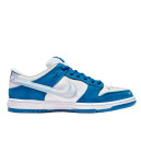 Nike SB Dunk Low x Born x Raised FN7819-400