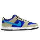 Nike Dunk Low Pro ACG Celadon BQ6817-301