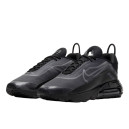 Nike Air Max 2090 Black Wolf Grey BV9977-001