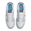 Nike Dunk Low Lottery Grey Fog DR9654-001