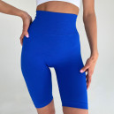 Спортивні Шорти Сині