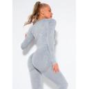 Рашгард Сірий