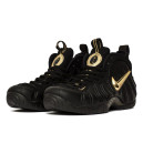 Nike Air Foamposite Pro Black Metallic Gold 624041-009